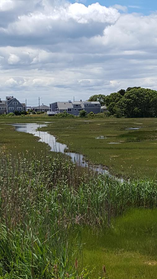 A Cape Cod Ocean Manor Inn Hyannis Dış mekan fotoğraf